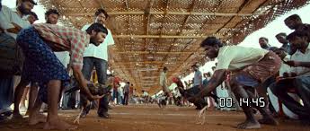 Reviewpuram - Aadukalam (2011) Dir. Vetrimaaran *ing Dhanush Looking back  on the actor-director duo's work on the eve of #VadaChennai's release.  Pettaikaran, a veteran and guru in rooster fighting, loses his cool