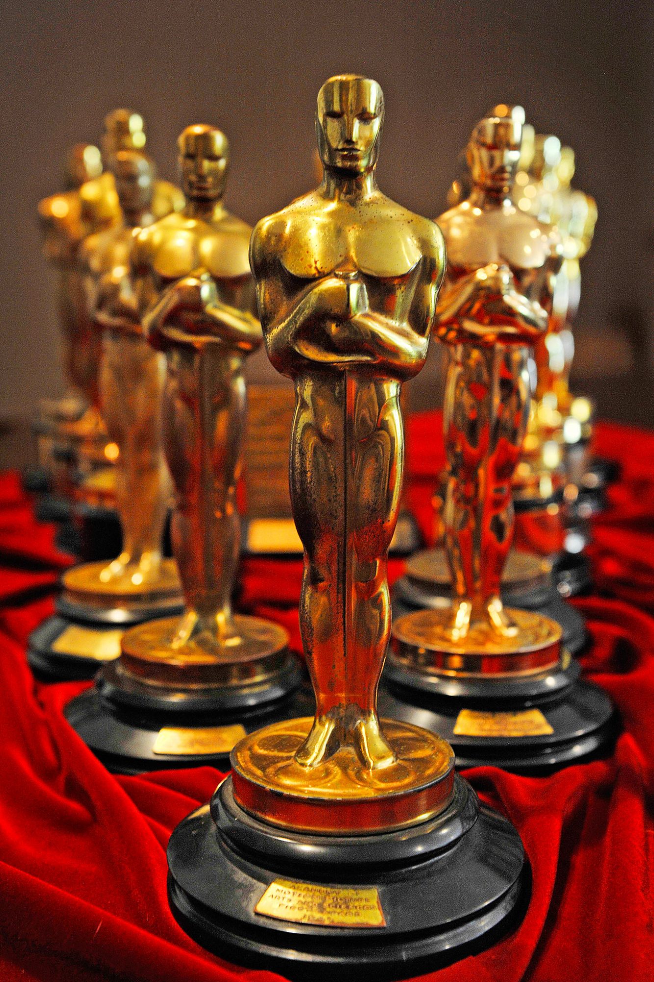 Oscars 2016: Academy announces 81 contenders for foreign-language film  award | EW.com